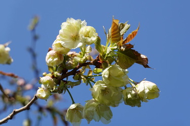 DSC06363