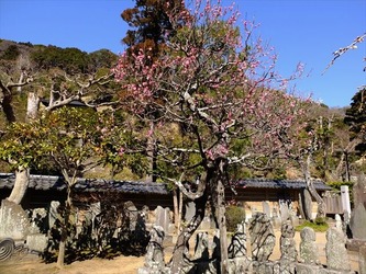 DSCF8358_R