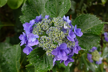 DSC08041_R
