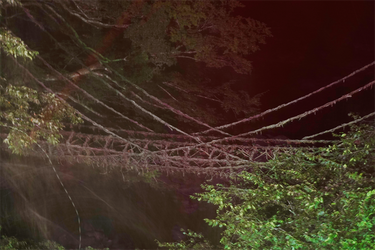 DSC09455_R