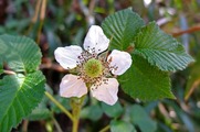DSCF2066_R