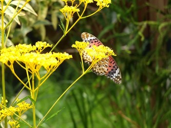 DSCF1622_R