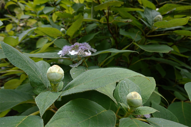 DSC09163_R