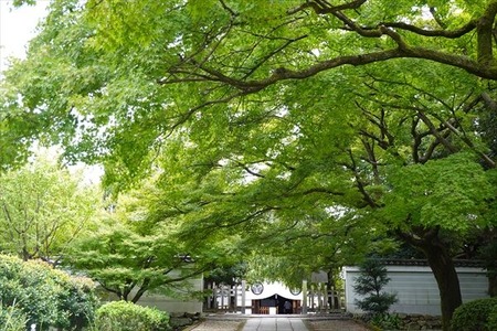 DSC02348_R