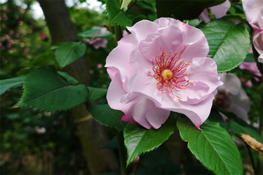DSC07026_R