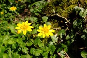 DSCF0517_R