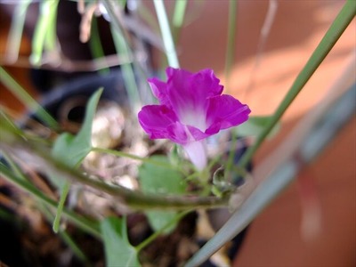 DSCF1327_R