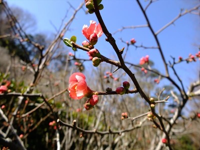 DSCF1076_R