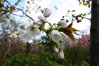 DSC06439_R