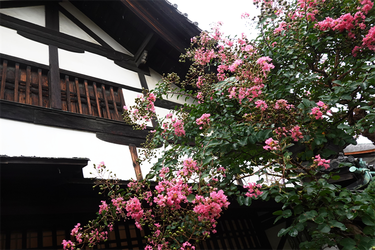 DSC09690_R