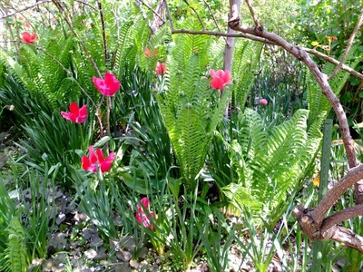DSCF5544_R