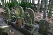 DSCF5350_R
