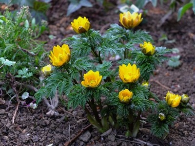 DSCF7033_R