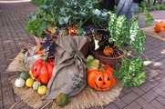 DSCF6517_R