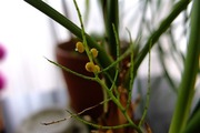 DSCF3802_R