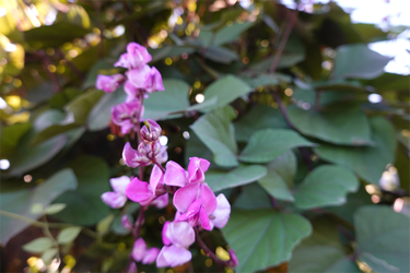 DSC02937_R