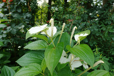 DSC08498_R