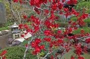 DSCF1543_R