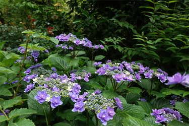 DSC08061_R