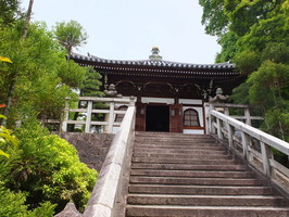 DSCF9522