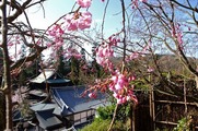 DSCF1989_R