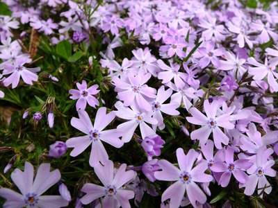 DSCF1674_R