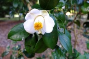 DSCF9470_R