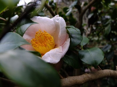 DSCF1202_R