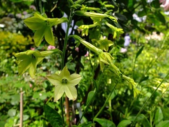 DSCF9811_R