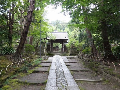 DSCF8639_R