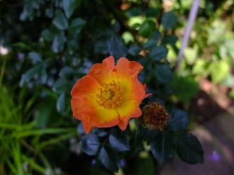 DSCF9622_R