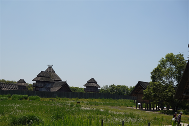DSC07974_R