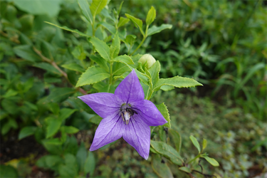 DSC09898_R