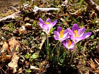 DSCF8302_R