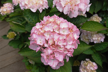 DSC08097_R