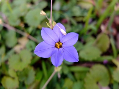 DSCF4915_R