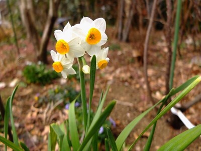 DSCF0879_R