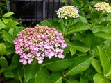DSCF2706_R