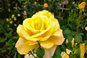 DSCF1767_R