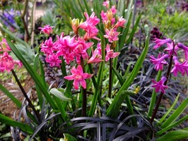DSCF7556_R