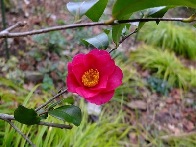 DSCF0781_R