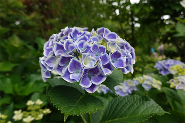 DSC08145_R