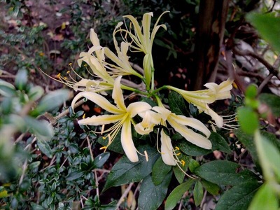DSCF8712_R
