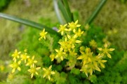 DSCF3662_R