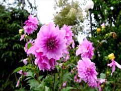 DSCF9746_R