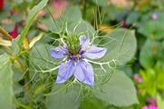 DSCF3459_R