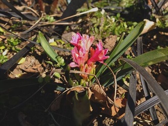DSCF8262_R