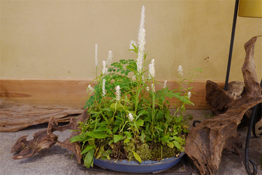 DSC01724_R