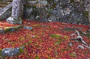 DSCF7827_R