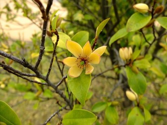 DSCF9810_R